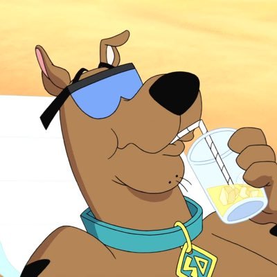 NotNotScoobyDoo Profile Picture