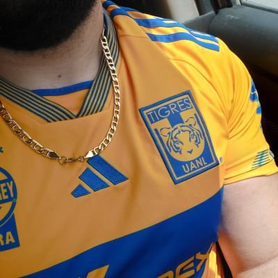 Arthurd_tigres Profile Picture