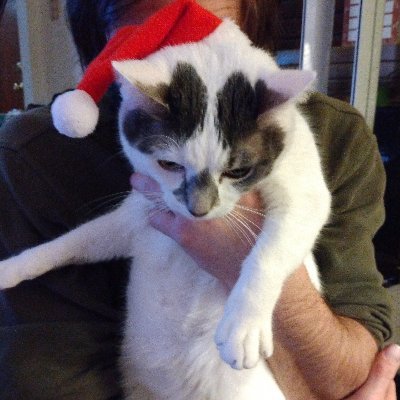 LaurieMahoney20's profile picture. 