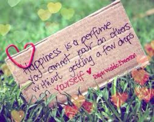 dekelly84's profile picture. Damage but beautiful. Hurt but not broken. Alone but happy. single but loved.