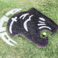 PCA Panthers Softball (@pca_softball_) 's Twitter Profile