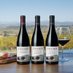 Bucher Wines (@buchervineyard) Twitter profile photo Bucher Wines (@buchervineyard) Twitter profile photo