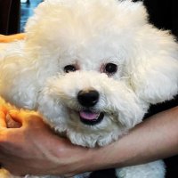 viviyz 🐣 (@ppiyakie) 's Twitter Profile Photo
