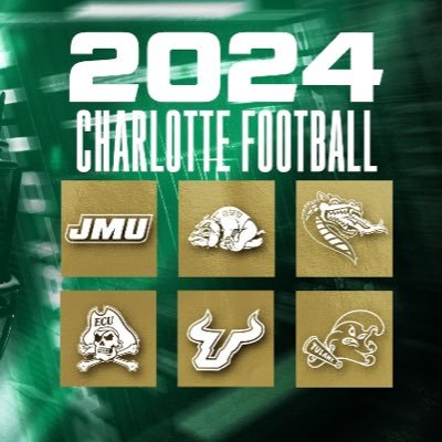 University of North Carolina at Charlotte Graduate | CLT Athletics Supporter