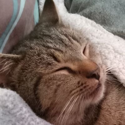 JamesDo37576152's profile picture. 56 retired singer,married. professional tarot card reader.
owner of Ragnarok cuts landscaping