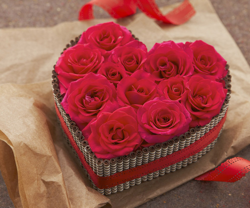 jfox002's profile picture. 