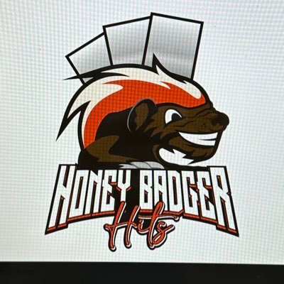 HoneyBadgerHit Profile Picture