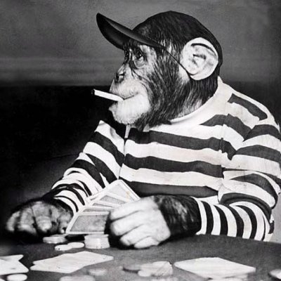 snuzeen's profile picture. derp