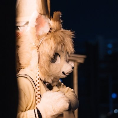 Fursuit / tarot 🪡 : @blackon666 / profile : @Levy_comet / header : @jjongjjongmk2