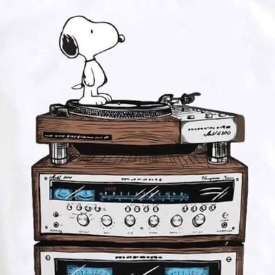 Buscador... //Opiniones inútiles al por mayor//Rock and roll//Audio vintage Hi-Fi + LPs/CDs