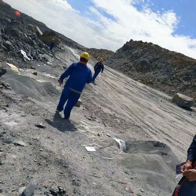 leiwang68979556's profile picture. 