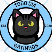 Todo Dia Gatinhos 🐾(@TodoDiaGatinhos) 's Twitter Profile Photo