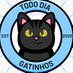 Todo Dia Gatinhos 🐾 (@TodoDiaGatinhos) Twitter profile photo