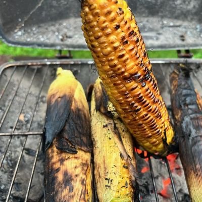 roc_kink's profile picture. 