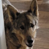 MasterCraftsman (@brucejohns23678) 's Twitter Profile