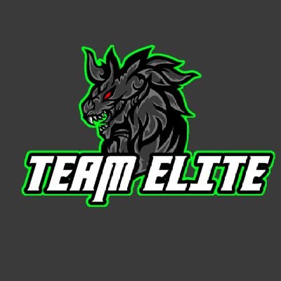 Semi-Pro Call of Duty eSports team!