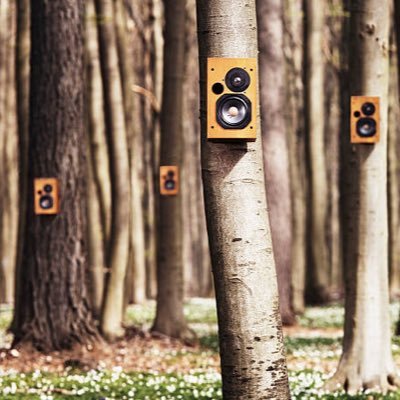 bumperwood's profile picture. 