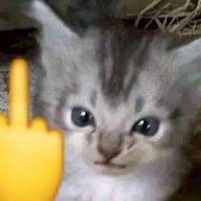 supzstew's profile picture. 