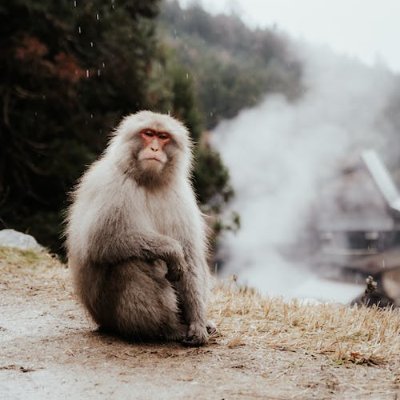 PunnyPalooza's profile picture. funny