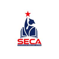 Star Education Consultancy Alliance(@seca_aus) 's Twitter Profile Photo