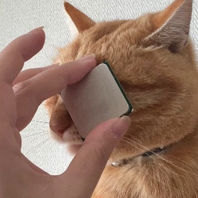 dokoitta_megane's profile picture. PC/nikke/fgo
てきとうに,twaddler
