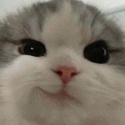 winterwndrln's profile picture. 