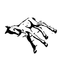 Shallowater (@shallowaterband) 's Twitter Profile