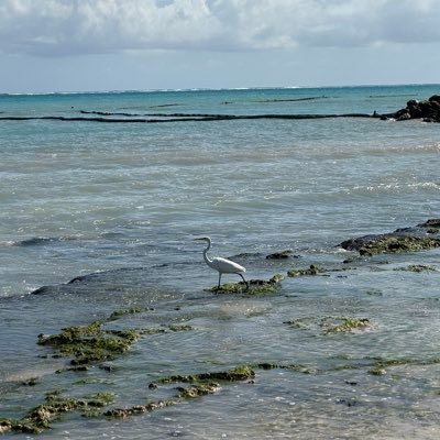 Procast108's profile picture. 