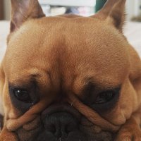 claire allison/ (@clairealli) 's Twitter Profile Photo