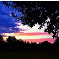 Lurker🍇Extraordinaire1776🇺🇲 (@shelzestudios) 's Twitter Profile