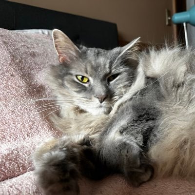 BrilliantNoots's profile picture. biological engineer, crypto ‘13, exploration of systems, gardening, wellness, being intentional with attention