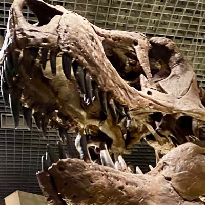 J31425807's profile picture. 