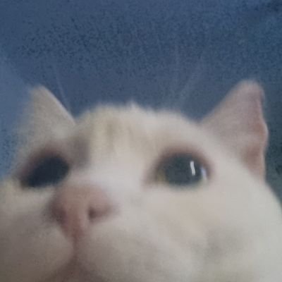 lehmontr's profile picture. melhor detetive/gênio