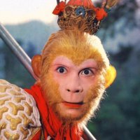 Monkey|Ultiverse⚡️🐑 (@monkey_crypto_) 's Twitter Profile