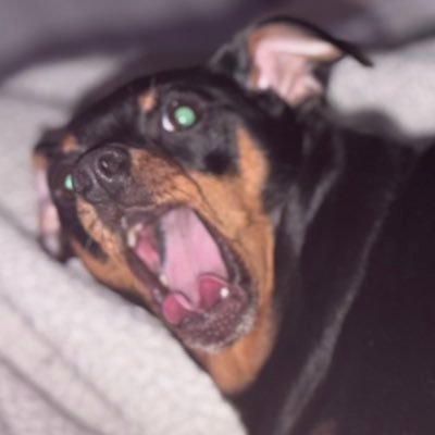 _thealivejames's profile picture. watashi wa sta