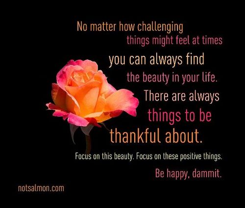 junemreid's profile picture. Proud wife & Mum to 5 daughters . I have found a new love- online marketing.