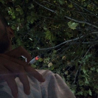 ll7ll8l's profile picture. هبيّد