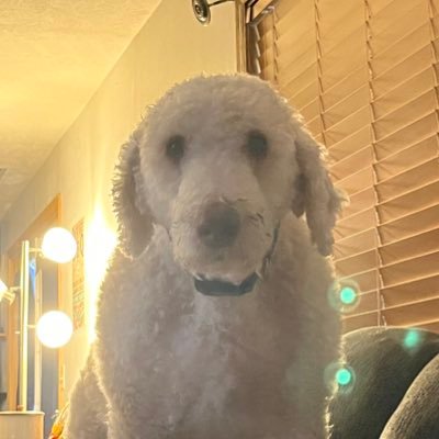 katie_nienow's profile picture. 1 Corinthians 16:14 - Do everything in Love