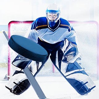 Bluegoalie81