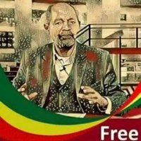 ፋኖ አሸንፍዋል(@ethiopiataolco1) 's Twitter Profile Photo