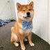 Kasperbit (@kasperbit) Twitter profile photo Kasperbit (@kasperbit) Twitter profile photo