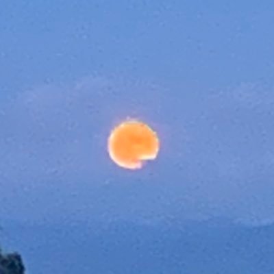 yuukingtaisa's profile picture. 