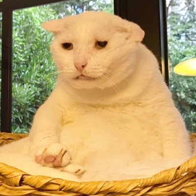 fire_is_funny's profile picture. Any pronouns 🏳️‍🌈🏳️‍⚧️