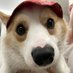 nut (@organicurry30) Twitter profile photo nut (@organicurry30) Twitter profile photo