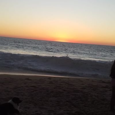 YareliVidrio's profile picture. 