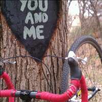 OneSurlyFly's profile picture. 