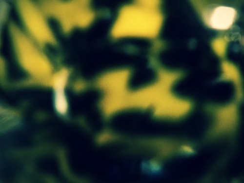 Arbit Profile