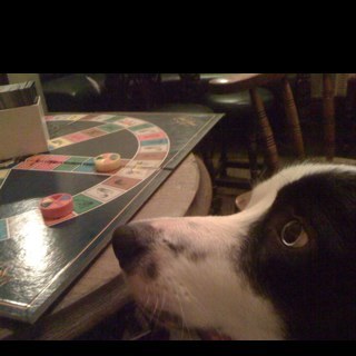 NigelNWCS's profile picture. 