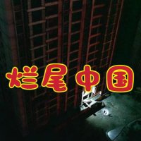 烂尾中国 (@pifuzhinu113541) 's Twitter Profile