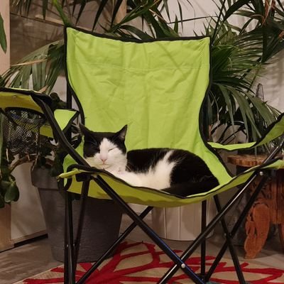 marcoSamHyra's profile picture. 